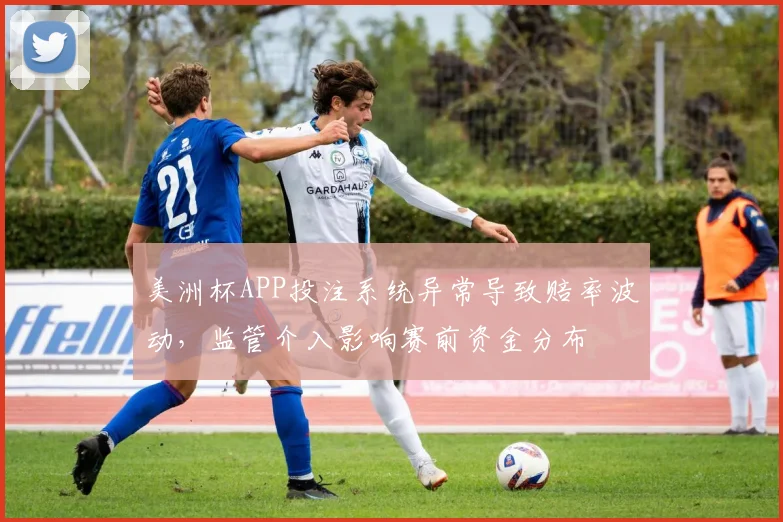 美洲杯APP投注系统异常导致赔率波动，监管介入影响赛前资金分布