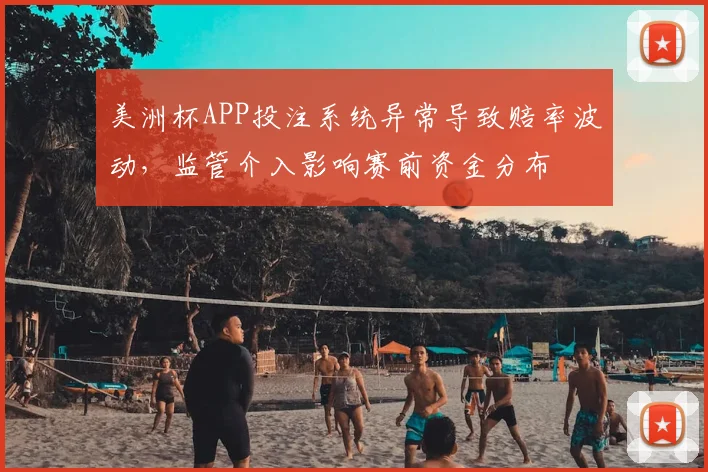 美洲杯APP投注系统异常导致赔率波动，监管介入影响赛前资金分布