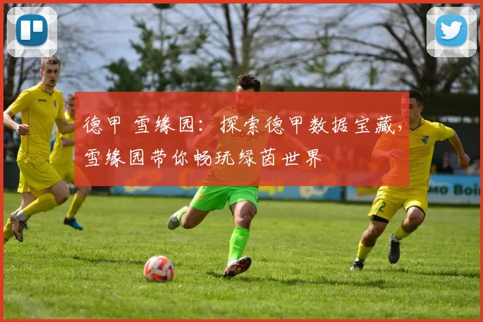 德甲 雪缘园：探索德甲数据宝藏，雪缘园带你畅玩绿茵世界