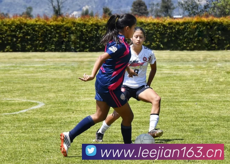 萌化奥运五环再出发浪漫配色与创意造型引燃全民互动热潮不断升级